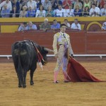 toro1